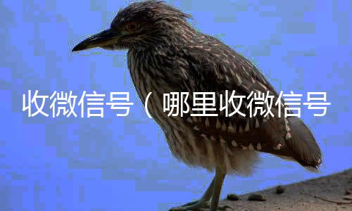 收微信号回收微信号官网（哪里收微信号）